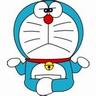 宠物店猫知识